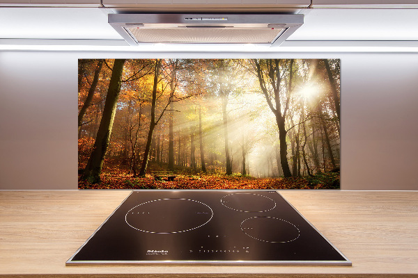 Panel dekor szkło Mgła w lesie