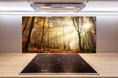 Panel antisalpicaduras Niebla en el bosque