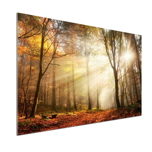 Panel antisalpicaduras Niebla en el bosque