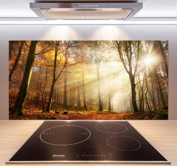 Panel antisalpicaduras Niebla en el bosque