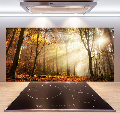 Panel dekor szkło Mgła w lesie