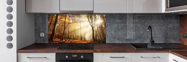 Panel antisalpicaduras Niebla en el bosque