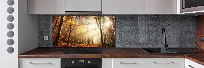 Panel antisalpicaduras Niebla en el bosque