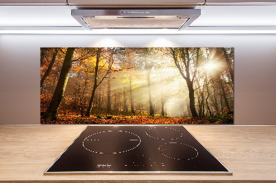 Panel antisalpicaduras Niebla en el bosque