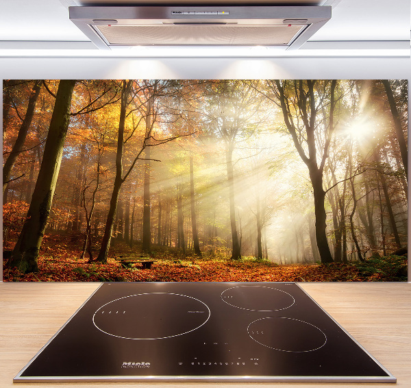 Panel dekor szkło Mgła w lesie