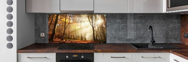 Panel dekor szkło Mgła w lesie