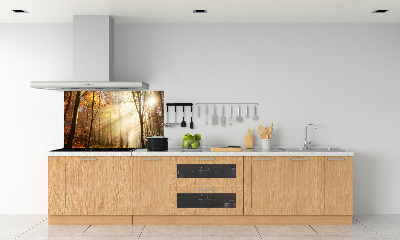 Panel antisalpicaduras Niebla en el bosque