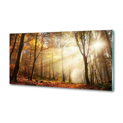 Panel antisalpicaduras Niebla en el bosque