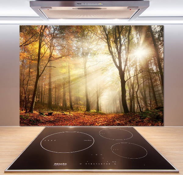 Panel antisalpicaduras Niebla en el bosque