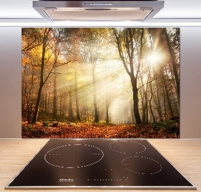 Panel antisalpicaduras Niebla en el bosque