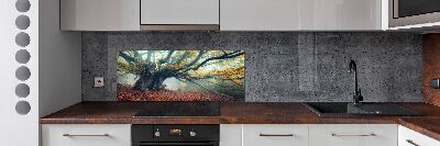 Panel antisalpicaduras Árbol viejo