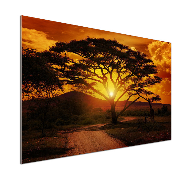 Panel antisalpicaduras África Occidental