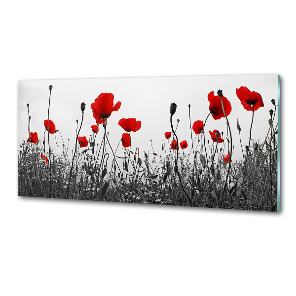 Panel para cocina Amapolas