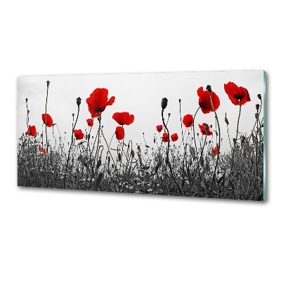 Panel para cocina Amapolas