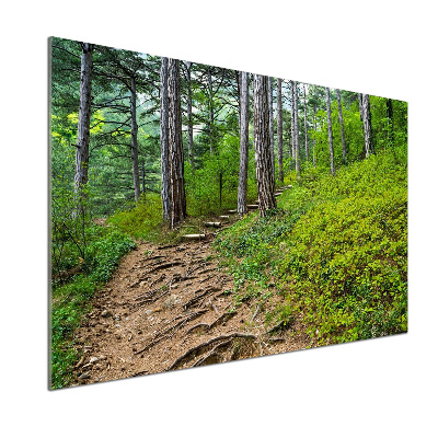 Salpicadero de cocina Camino forestal