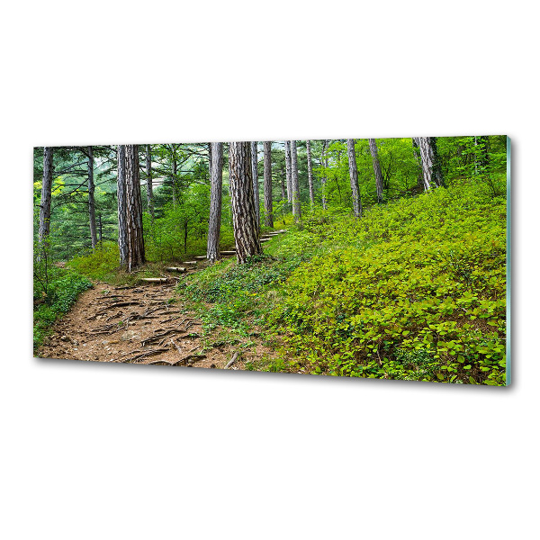 Salpicadero de cocina Camino forestal