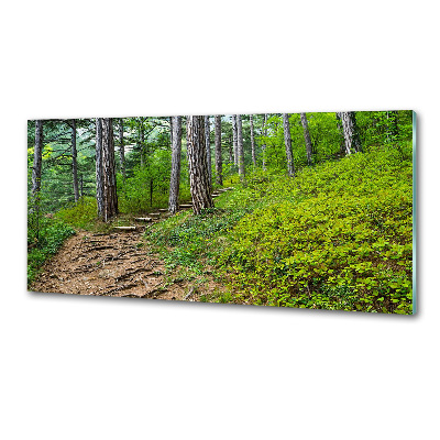 Salpicadero de cocina Camino forestal