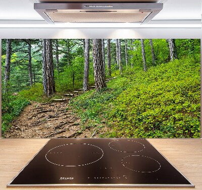 Panel do kuchni Leśna ścieżka