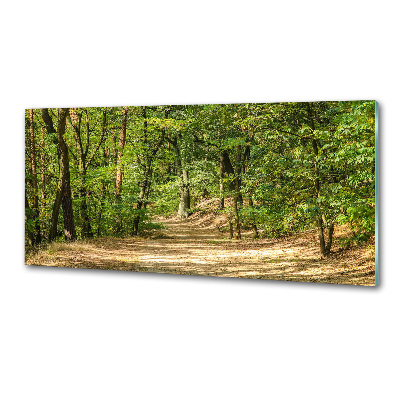 Panel do kuchni Leśna ścieżka