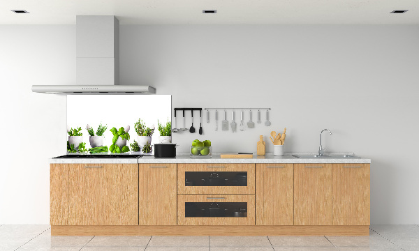 Panel de pared de cocina Hierbas