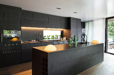 Panel de pared de cocina Hierbas