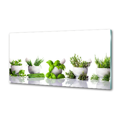 Panel de pared de cocina Hierbas