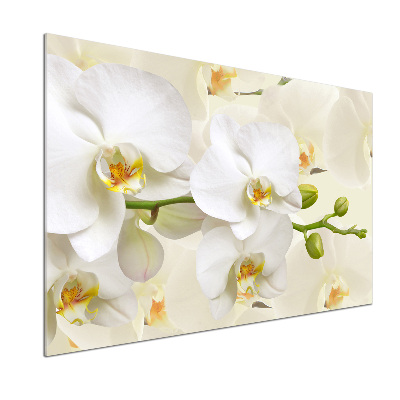 Salpicadero de cocina Orquídea