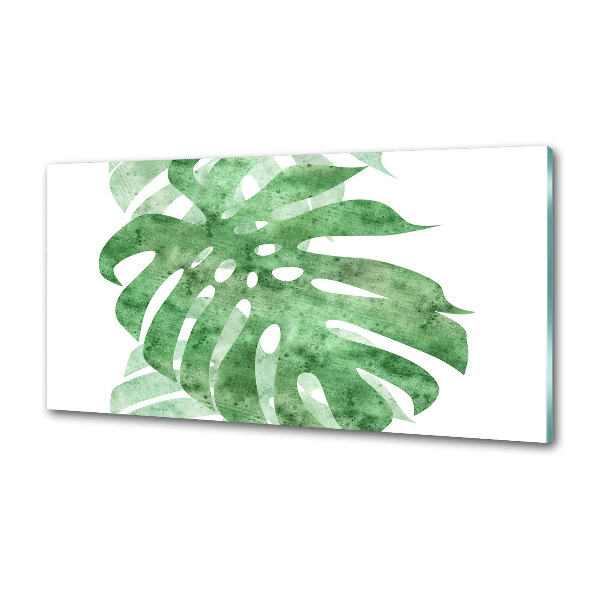 Panel antisalpicaduras Monstera