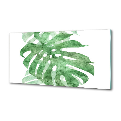 Panel antisalpicaduras Monstera