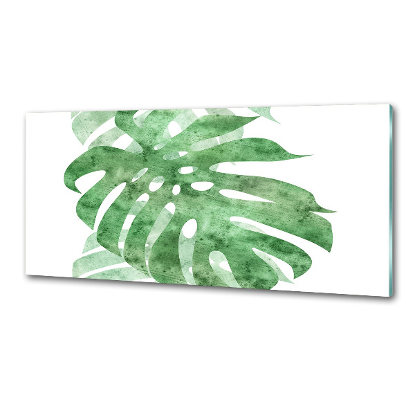 Panel antisalpicaduras Monstera