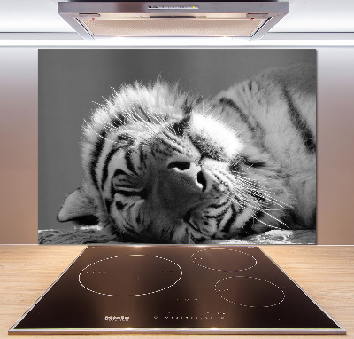 Panel para cocina Tigre dormido