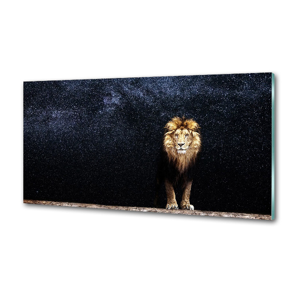 Salpicadero para cocina León contra las estrellas