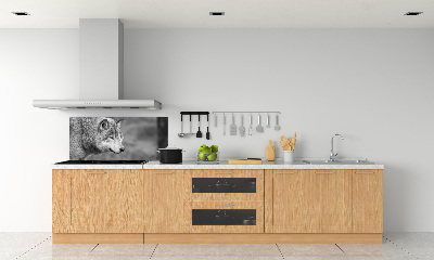 Panel de pared de cocina Lobo gris