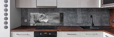 Panel de pared de cocina Lobo gris