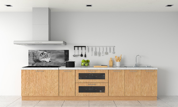 Panel de pared de cocina Lobo gris