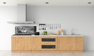 Panel de pared de cocina Lobo gris