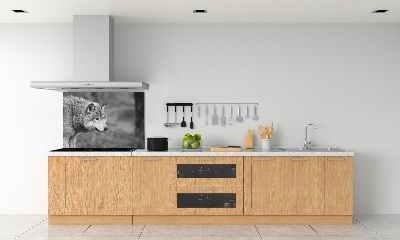 Panel de pared de cocina Lobo gris