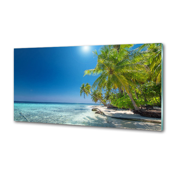 Panel antisalpicaduras Playa de Maldivas