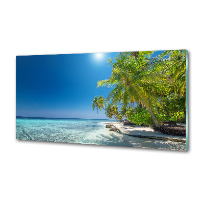 Panel antisalpicaduras Playa de Maldivas