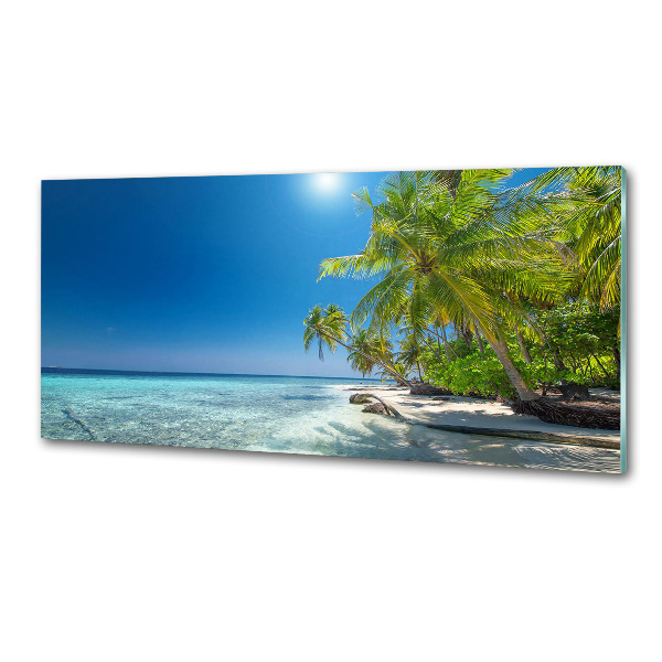 Panel antisalpicaduras Playa de Maldivas