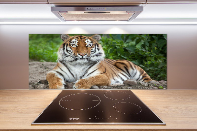 Panel para cocina tigre siberiano