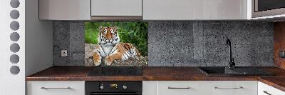 Panel para cocina tigre siberiano
