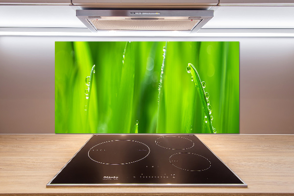 Salpicadero para cocina Avena joven