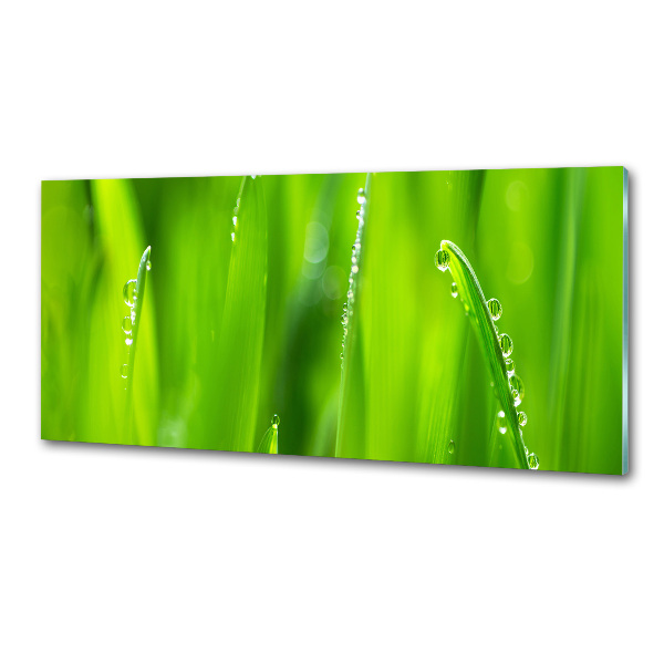 Salpicadero para cocina Avena joven