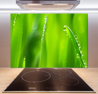 Salpicadero para cocina Avena joven