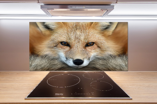 Salpicadero para cocina Zorro