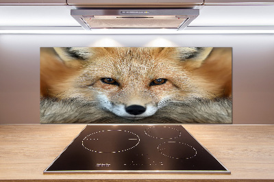 Salpicadero para cocina Zorro