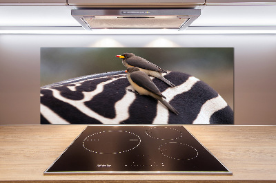 Panel de pared de cocina Pájaros y cebras