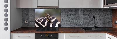 Panel de pared de cocina Pájaros y cebras