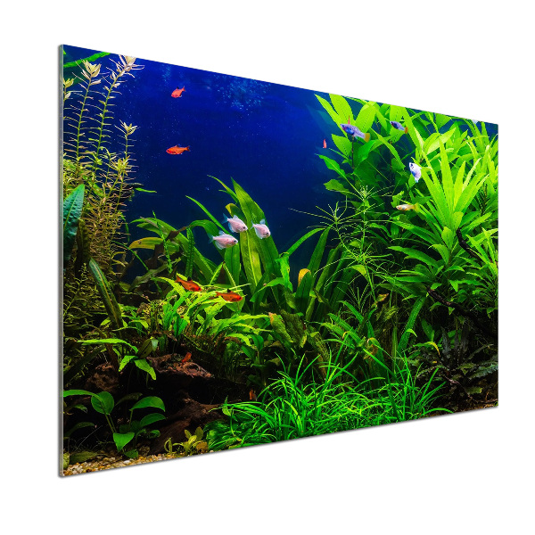 Salpicadero para cocina Peces en el acuario